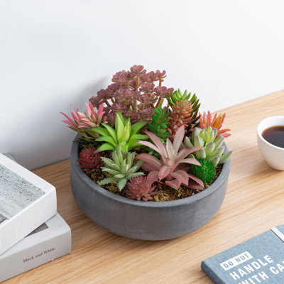Pot Planter