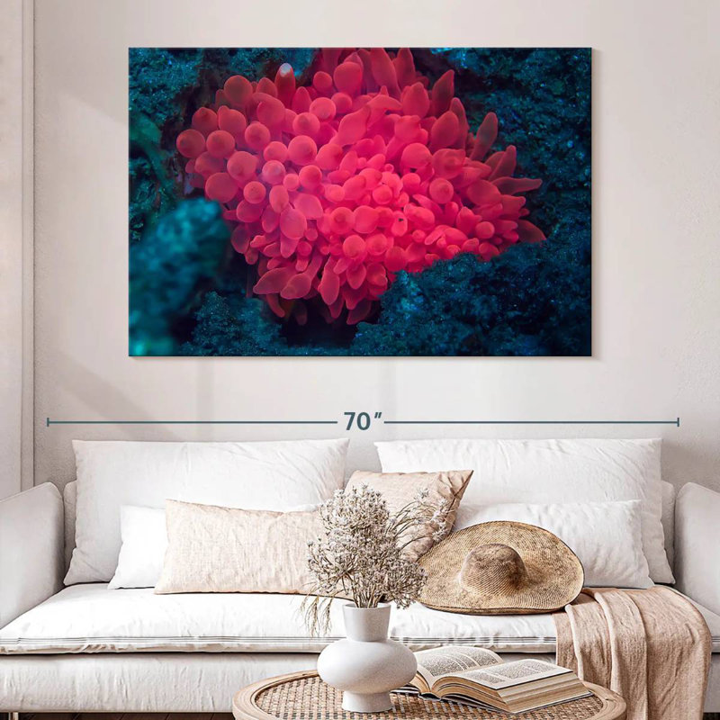 Rose corail, H 34 po x l 51 po