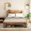 Cadre de lit grand, cadre de lit plateforme en bois avec tête de lit à DEL avec rangement et 2 ports USB, silencieux, aucun sommier nécessaire et outil d'assemblage facile, grand rangement sous le lit, brun foncé-126125490-126125491