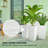 Space-saving Stackable Planters With Modern Stone-look For Home And Garden