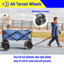 Chariot de plage pliable-123938633-123938634
