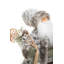 Père Noël gris nordique