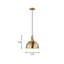 Luminaire suspendu en forme de dôme à 1 lumière Rockland-1862746907-1862746908-1862746906