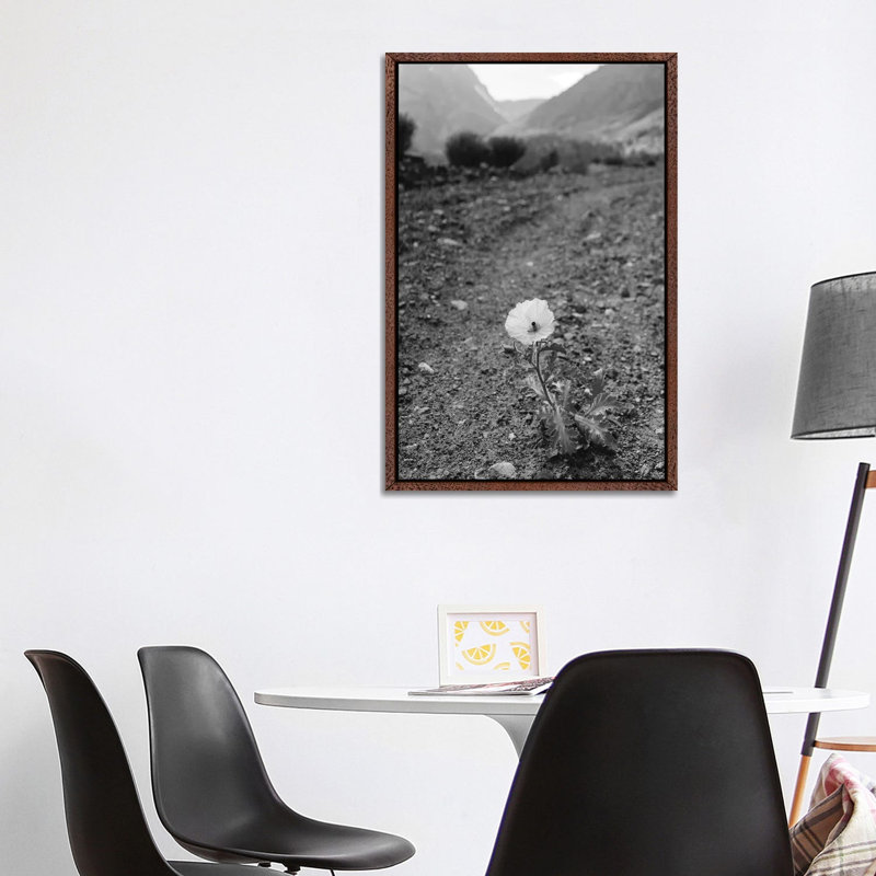 Monochrome Yosemite Bloom by Bethany Young - Print on Canvas, Classic Brown Wood Framed, 101.6cm H x 66.04cm W x 3.81cm D