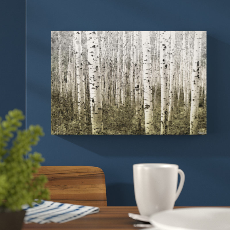 « aspen highlands » par parvez taj,, reproduction de photo sur toile tendue, 24 po x 36 po