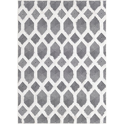 Mishti Cotton Moroccan Indoor Rug