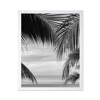 Vue entre les feuilles de palmier
