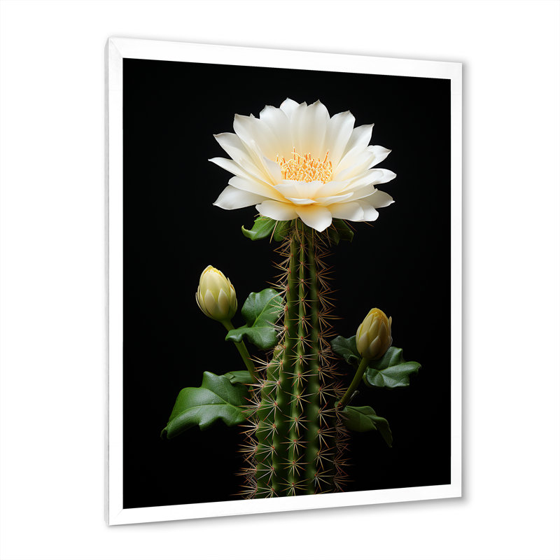 «Cactus Ivory Isolation II», reproduction sur toile, Cadre flottant noir, H 20 po x l 12 po