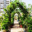 Arche de jardin en métal avec barrière W58,07 * H97,24