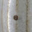 Table d'appoint cylindrique 22,5 x 22,5 x 26 po