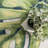 Commer Tropical Leaf Green Indoor/Outdoor Patio Rug-1304403935