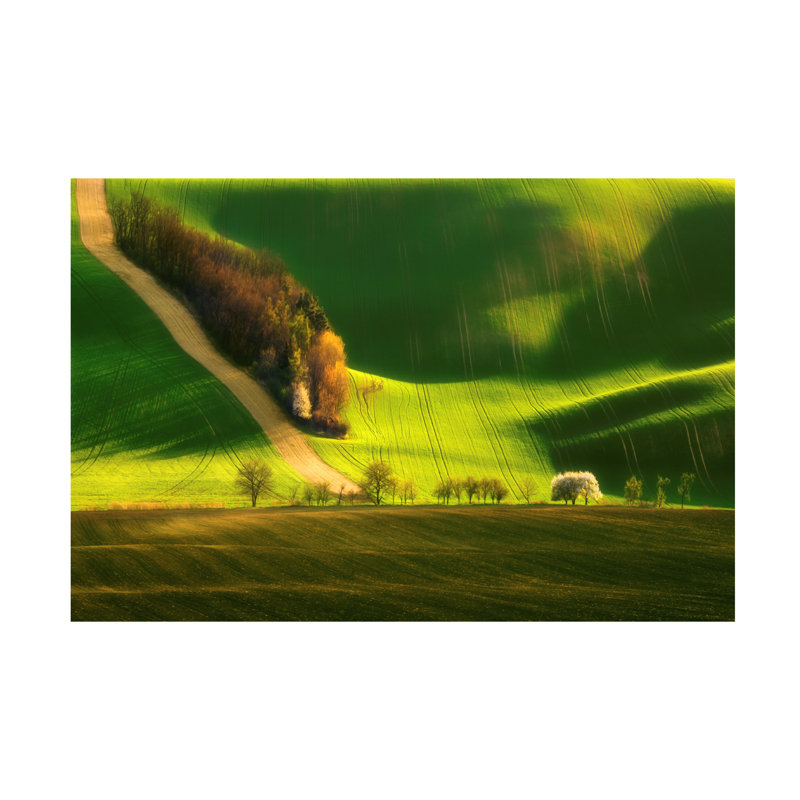 Art mural sur toile tendue - Krzysztof Browko «Spring On Fields», art mural pour le salon, la chambre à coucher ou le bureau - 22 x 32