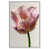 White Floater Frame is unavailable