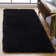 Assar Black Area Rug