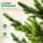 9Ft Artificial Sparse Christmas Tree-787334022-787334019