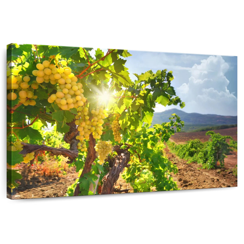 Yarlin Luminous Grape Vine, 24" H x 36" W