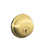 Polished Brass