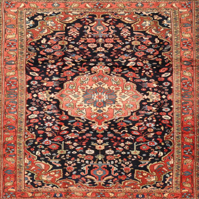 Oriental Indoor Rug