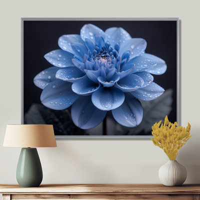 Monochromes noirs et bleus, fleurs de Dahlia - art mural Dahlia