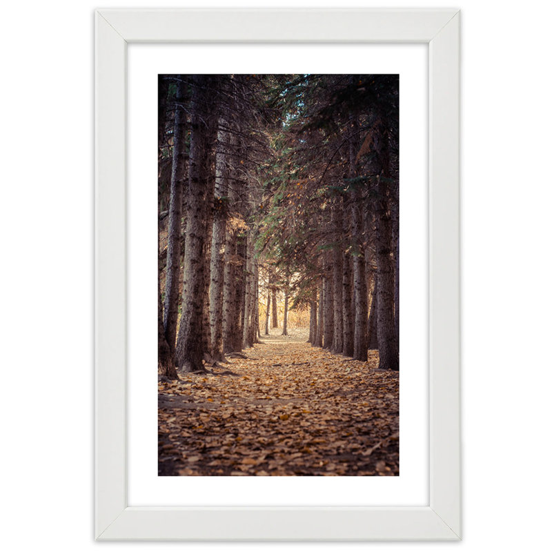 Forest In Autumn - Single Picture Frame Print, White, 30cm H x 20cm W