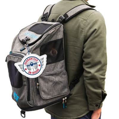 Collapsible Pet Carrier with 1 Door