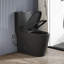Toilette allongée une pièce Baywood avec surface entièrement vitrée, hauteur de chaise ADA de 17,3 po, chasse d'eau Tornado 1,1 / 1,6 GPF, carte 1000G, certification cUPC, WaterSense et CEC, noir mat-121394409