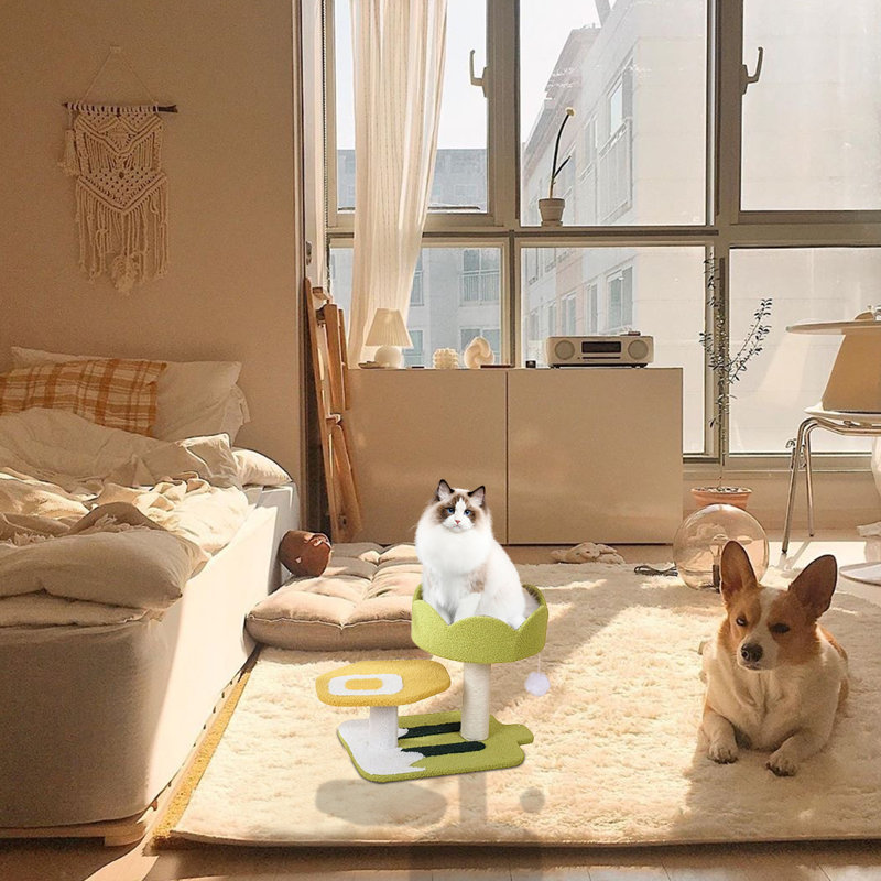 Maison pour chat Elexas