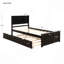 Lit plateforme avec lit gigogne simple, structure de taille simple