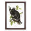 Canadian Porcupine by J.W. Audubon - Picture Frame Graphic Art Print-55680262-55680265