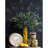 Rowhn Food & Beverage Vase Filler