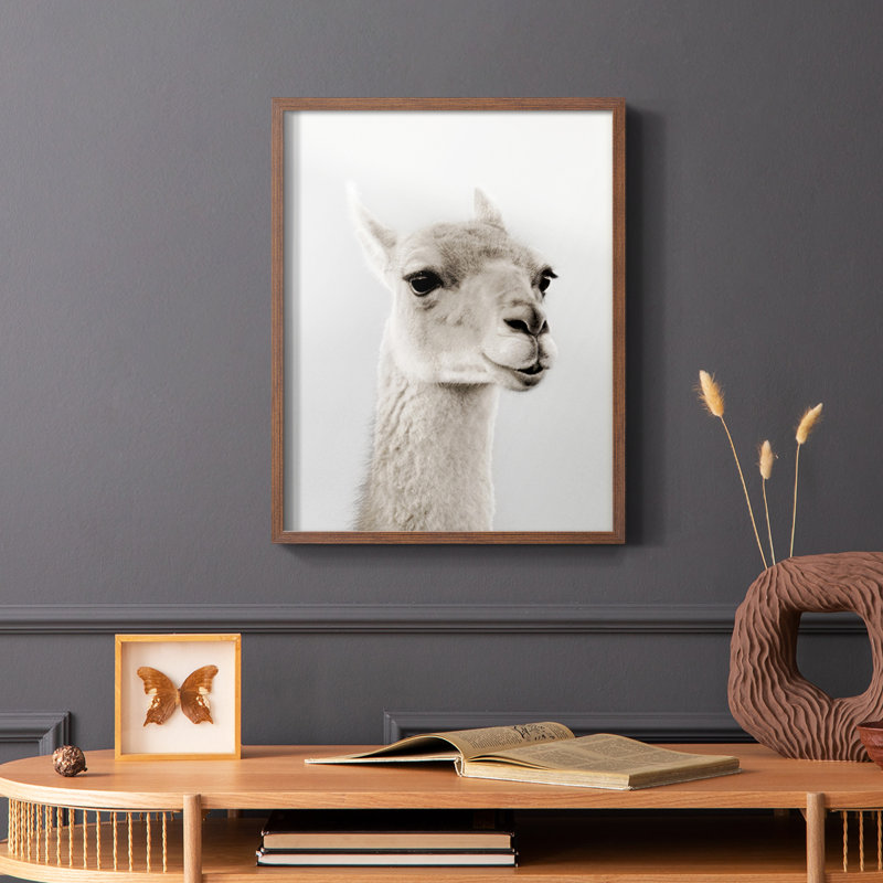 Reproduction encadrée de lama doux - bois massif, Brun, H 14 po x l 11 po