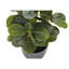 Ensemble de 2 plantes en soie artificielle Dorae Ficus Elastica, 56 feuilles vertes, pot gris-117054327