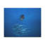 No Frame Print on Canvas-1181934740