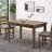 1 Piece Rectangular Dining Table without Chair