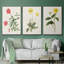 " Flowers of the Seasons X " 3 Piece Art Print-91891115-91891118
