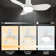 36'' Elaise 3 - Blade LED Flush Mount Ceiling Fans with Lights