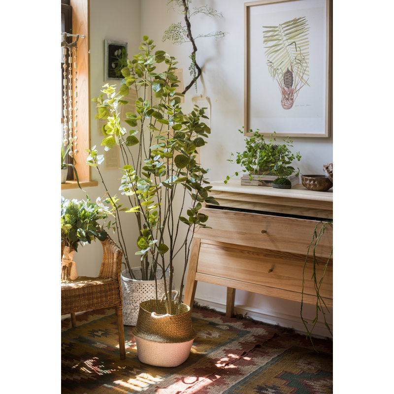 Arbre de bauhinia artificiel, Vert, H 70,9 po x L 27,6 po x P 19,7 po