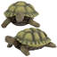 Statue de Gilbert, la tortue-boîte