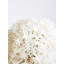 Fiori Allium Arrangement