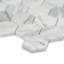Terra Bella Hexagon 12 in. x 12 in. Honed Marble Mosaic Floor and Wall Tile