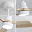 Ventilateur de plafond en bois massif 48 pouces avec moteur à courant continu réversible à intensité variable 6 vitesses