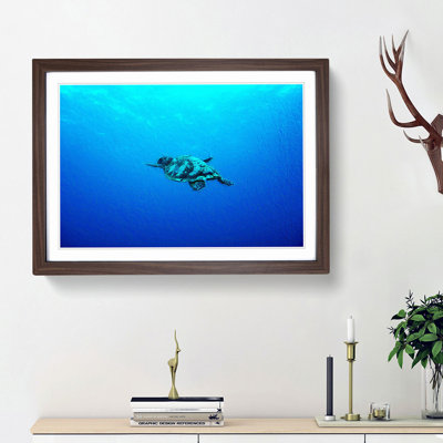 Swimming Turtle - Picture Frame Painting Print