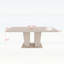Table de salle à manger rectangulaire extensible pour 6 à 10 personnes, conception simple et élégante-130195573