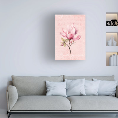 Magnolia rose n ° 1