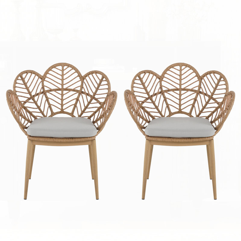 Ensemble de 2 chaises d'extérieur en osier