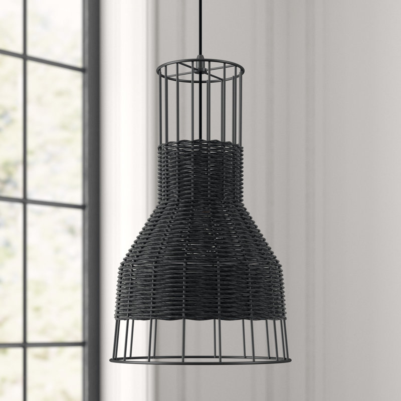 Laika 1 - Light Pendant, 20" H x 12" W x 12" D, Black, Black