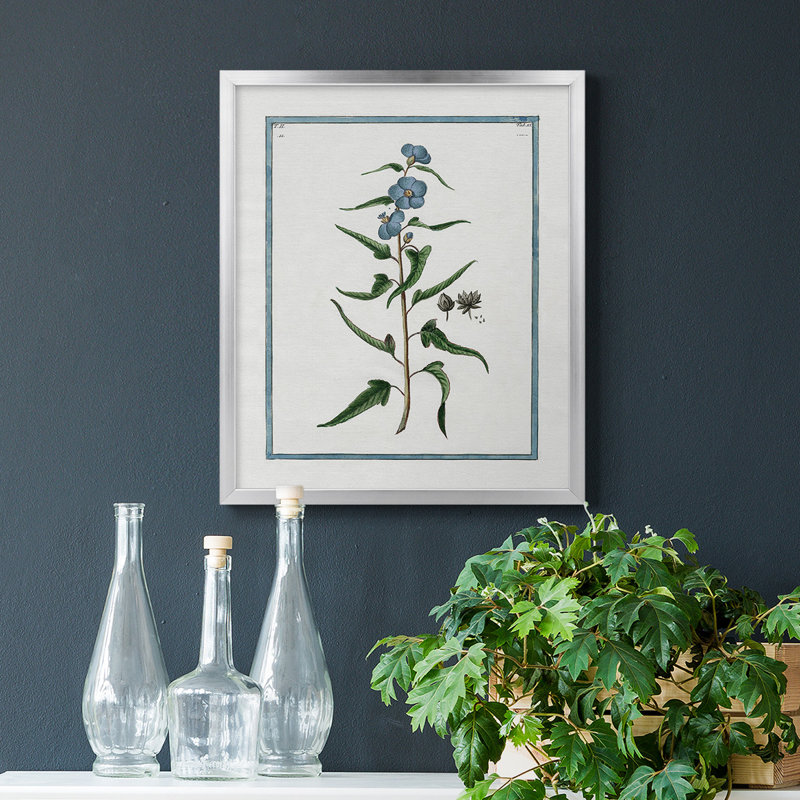 Toile encadrée de qualité supérieure Shabby Elegance Botanical I - prête à être accrochée, Argent, H 24 po x l 20 po