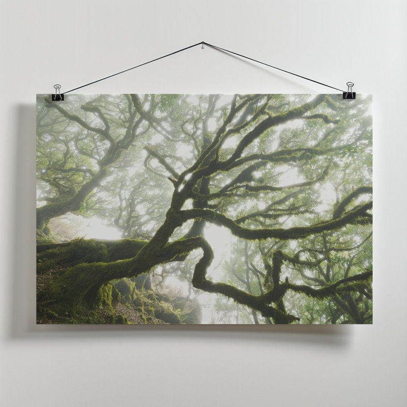 Wrapped Canvas Print