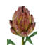25" Artificial Purple Artichoke Stems