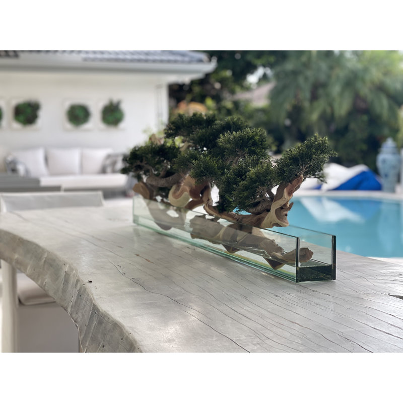Faux Bonsai Tree in Planter, Light Green, 10" H x 52" W x 8" D